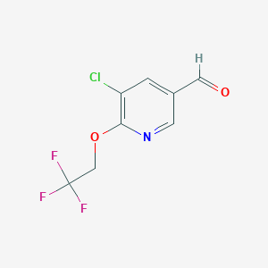 molecular formula C8H5ClF3NO2 B13906082 5-Chloro-6-(2,2,2-trifluoroethoxy)nicotinaldehyde 