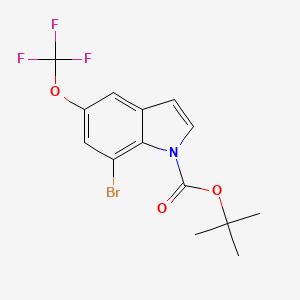 molecular formula C14H13BrF3NO3 B13906185 Tert-butyl 7-bromo-5-(trifluoromethoxy)indole-1-carboxylate 