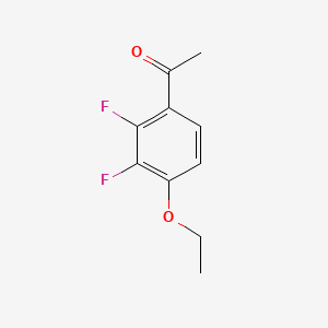 molecular formula C10H10F2O2 B1390714 4'-Ethoxy-2',3'-difluoroacetophenone CAS No. 1017779-68-8