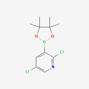molecular formula C11H14BCl2NO2 B1390761 2,5-Dichloro-3-(4,4,5,5-tetramethyl-1,3,2-dioxaborolan-2-yl)pyridine CAS No. 1073371-98-8