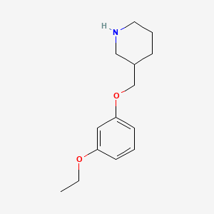 molecular formula C14H21NO2 B1390769 3-[(3-Ethoxyphenoxy)methyl]piperidine CAS No. 946725-06-0