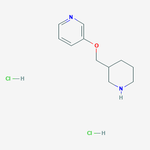 molecular formula C11H18Cl2N2O B1390771 3-[(3-Pyridinyloxy)methyl]piperidine dihydrochloride CAS No. 1185297-98-6