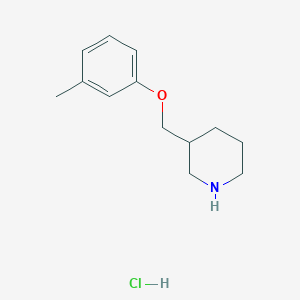 molecular formula C13H20ClNO B1390800 3-[(3-Methylphenoxy)methyl]piperidine hydrochloride CAS No. 28569-13-3