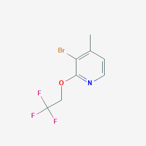 molecular formula C8H7BrF3NO B13908049 3-Bromo-4-methyl-2-(2,2,2-trifluoroethoxy)pyridine 