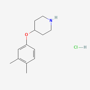 molecular formula C13H20ClNO B1390919 4-(3,4-Dimethylphenoxy)piperidine hydrochloride CAS No. 1170242-76-8