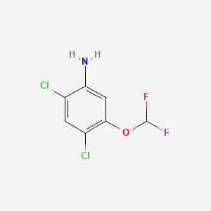 molecular formula C7H5Cl2F2NO B13910003 2,4-Dichloro-5-(difluoromethoxy)aniline CAS No. 122855-06-5
