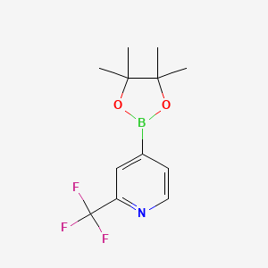 molecular formula C12H15BF3NO2 B1391060 4-(4,4,5,5-Tetramethyl-1,3,2-dioxaborolan-2-yl)-2-(trifluoromethyl)pyridine CAS No. 1036990-42-7