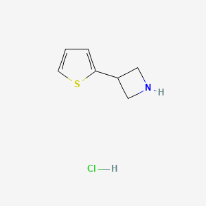 molecular formula C7H10ClNS B13911013 3-(2-Thienyl)azetidine;hydrochloride 