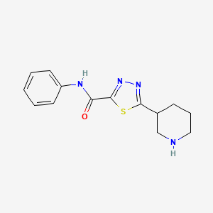 molecular formula C14H16N4OS B1391192 N-phenyl-5-piperidin-3-yl-1,3,4-thiadiazole-2-carboxamide CAS No. 1217862-73-1