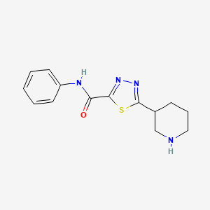 N-phenyl-5-piperidin-3-yl-1,3,4-thiadiazole-2-carboxamide