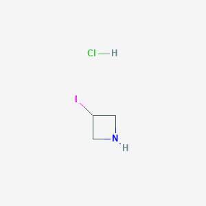molecular formula C3H7ClIN B1391216 3-Iodoazetidine hydrochloride CAS No. 1193386-43-4