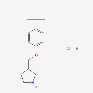 4-(tert-Butyl)phenyl 3-pyrrolidinylmethyl ether hydrochloride