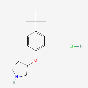 3-[4-(Tert-butyl)phenoxy]pyrrolidine hydrochloride