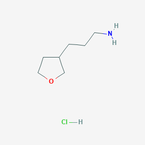 3-(Tetrahydro-furan-3-yl)-propylamine hydrochloride