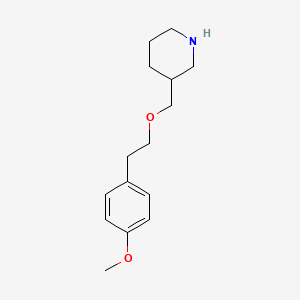 molecular formula C15H23NO2 B1391314 3-{[(4-Methoxyphenethyl)oxy]methyl}piperidine CAS No. 933736-79-9