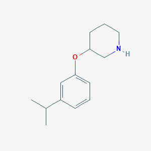 molecular formula C14H21NO B1391317 3-(3-Isopropylphenoxy)piperidine CAS No. 946714-41-6