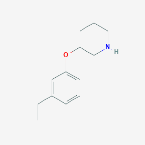 molecular formula C13H19NO B1391318 3-(3-Ethylphenoxy)piperidine CAS No. 946759-21-3