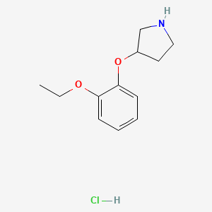 molecular formula C12H18ClNO2 B1391322 3-(2-Ethoxyphenoxy)pyrrolidine hydrochloride CAS No. 1185301-83-0