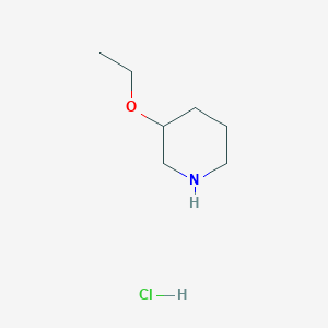 molecular formula C7H16ClNO B1391325 3-Ethoxypiperidine hydrochloride CAS No. 1159826-79-5