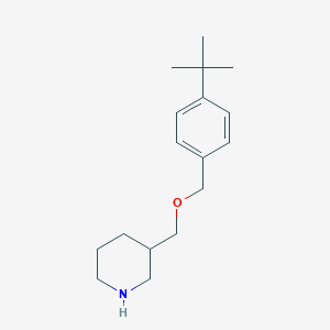 molecular formula C17H27NO B1391326 4-(tert-Butyl)benzyl 3-piperidinylmethyl ether CAS No. 946665-44-7