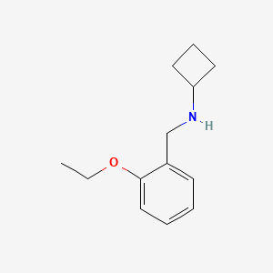 molecular formula C13H19NO B1391358 N-[(2-ethoxyphenyl)methyl]cyclobutanamine CAS No. 251086-12-1