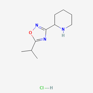 molecular formula C10H18ClN3O B1391378 2-[5-(Propan-2-yl)-1,2,4-oxadiazol-3-yl]piperidine hydrochloride CAS No. 1211196-88-1