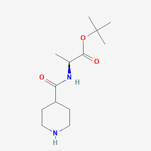 molecular formula C13H24N2O3 B1391391 (S)-Tert-butyl 2-(piperidine-4-carboxamido)propanoate CAS No. 845907-19-9