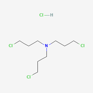 molecular formula C9H19Cl4N B1391454 Tris(3-chloropropyl)amine hydrochloride CAS No. 33329-34-9
