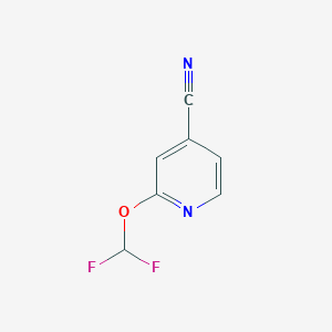 molecular formula C7H4F2N2O B1391509 2-(Difluoromethoxy)isonicotinonitrile CAS No. 943845-24-7