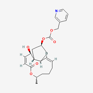 molecular formula C23H29NO6 B13915377 CHNQD-01255 