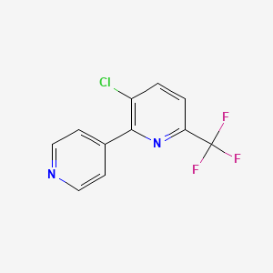 molecular formula C11H6ClF3N2 B1391556 3-Chloro-2-(pyridin-4-yl)-6-(trifluoromethyl)pyridine CAS No. 1214366-95-6