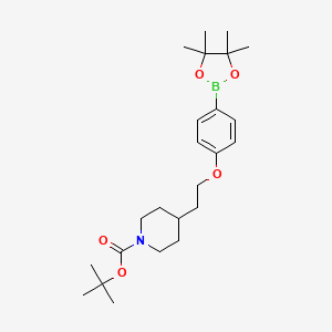molecular formula C24H38BNO5 B1391588 叔丁基 4-{2-[4-(4,4,5,5-四甲基[1,3,2]二氧杂硼环-2-基)苯氧基]乙基}哌啶-1-甲酸酯 CAS No. 1310405-24-3