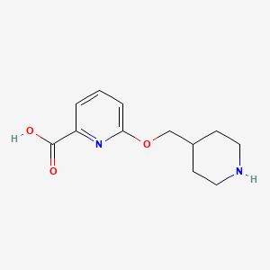 molecular formula C12H16N2O3 B1391600 6-(Piperidin-4-ylmethoxy)pyridine-2-carboxylic acid CAS No. 1215503-74-4