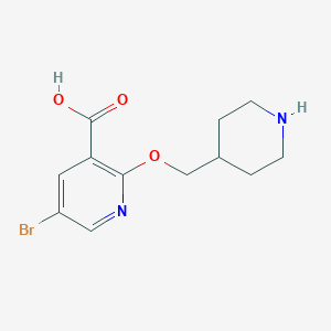 molecular formula C12H15BrN2O3 B1391615 5-Bromo-2-(piperidin-4-ylmethoxy)nicotinic acid CAS No. 1216435-59-4