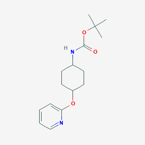 molecular formula C16H24N2O3 B13916193 Tert-butyl (4-(pyridin-2-yloxy)cyclohexyl)carbamate 