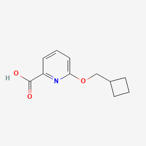 molecular formula C11H13NO3 B1391647 6-(Cyclobutylmethoxy)pyridine-2-carboxylic acid CAS No. 1235441-03-8