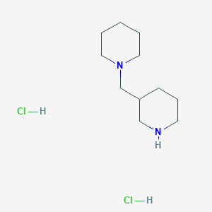 molecular formula C11H24Cl2N2 B1391735 3-(Piperidin-1-ylmethyl)piperidine dihydrochloride CAS No. 81310-57-8