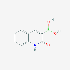 molecular formula C9H8BNO3 B1391804 (2-Hydroxyquinolin-3-yl)boronic acid CAS No. 1101864-58-7