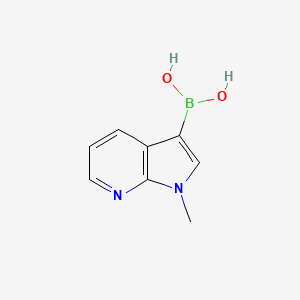 molecular formula C8H9BN2O2 B1391832 1-Methyl-1H-pyrrolo[2,3-b]pyridine-3-boronic acid CAS No. 521985-24-0