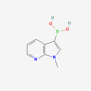molecular formula C8H9BN2O2 B1391832 (1-Methyl-1H-pyrrolo[2,3-B]pyridin-3-YL)boronic acid CAS No. 521985-24-0