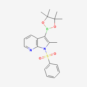 molecular formula C20H23BN2O4S B1391849 2-Methyl-1-(phenylsulfonyl)-3-(4,4,5,5-tetramethyl-1,3,2-dioxaborolan-2-YL)-1H-pyrrolo[2,3-B]pyridine CAS No. 943324-08-1