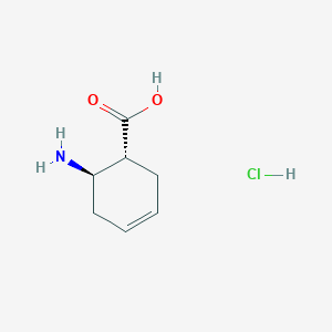 molecular formula C7H12ClNO2 B13919104 trans-6-Aminocyclohex-3-ene-1-carboxylic acid;hydrochloride 