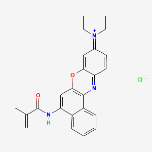 molecular formula C24H24ClN3O2 B13920238 Nile Blue Methacrylamide 