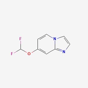 molecular formula C8H6F2N2O B13920581 7-(Difluoromethoxy)imidazo[1,2-a]pyridine 