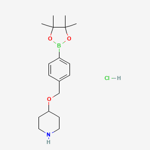 molecular formula C18H29BClNO3 B13921334 4-((4-(4,4,5,5-Tetramethyl-1,3,2-dioxaborolan-2-yl)benzyl)oxy)piperidine hydrochloride 