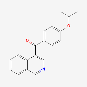 molecular formula C19H17NO2 B1392161 4-(4-Isopropoxybenzoyl)isoquinoline CAS No. 1187171-65-8