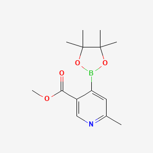 molecular formula C14H20BNO4 B13922097 Methyl 6-methyl-4-(4,4,5,5-tetramethyl-1,3,2-dioxaborolan-2-yl)nicotinate 