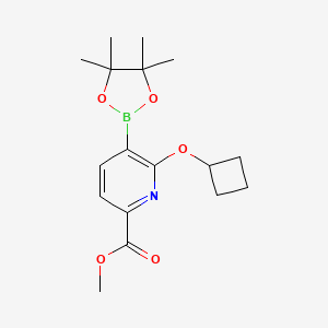 molecular formula C17H24BNO5 B13922113 Methyl 6-cyclobutoxy-5-(4,4,5,5-tetramethyl-1,3,2-dioxaborolan-2-yl)picolinate 