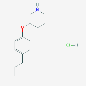 molecular formula C14H22ClNO B1392430 3-(4-Propylphenoxy)piperidine hydrochloride CAS No. 1220034-07-0
