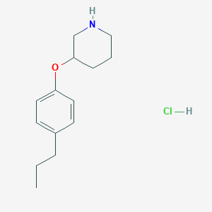 3-(4-Propylphenoxy)piperidine hydrochloride